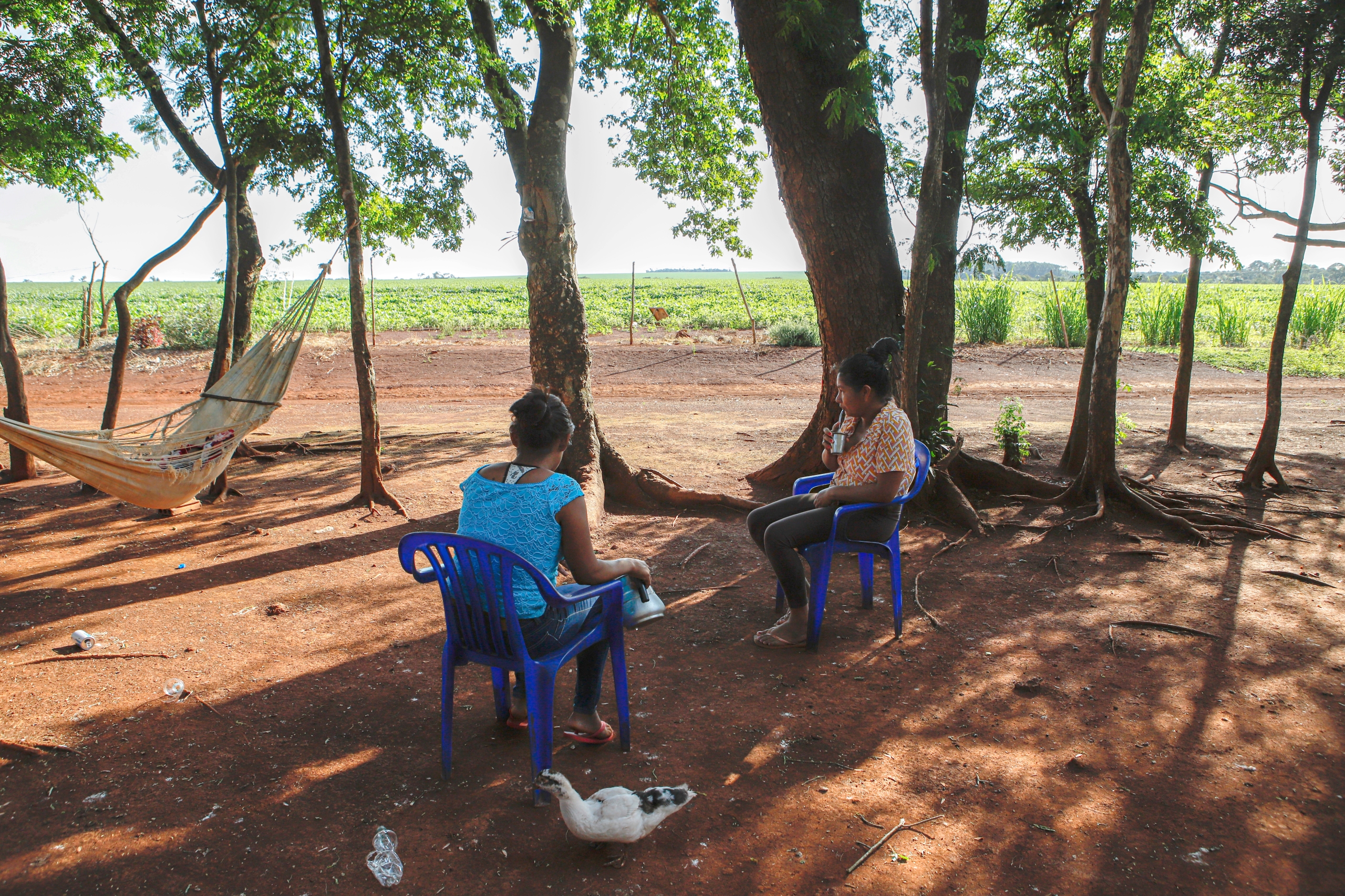 Flere familier lever under usikre forhold i den 20 meter brede stribe mellem sojabønnemarkerne og skoven - det område, som Itaipu har udpeget til genbosættelse af landsbyen Sauce. De har ikke lov til at dyrke afgrøder, samle skovfrugter, fiske eller jage.